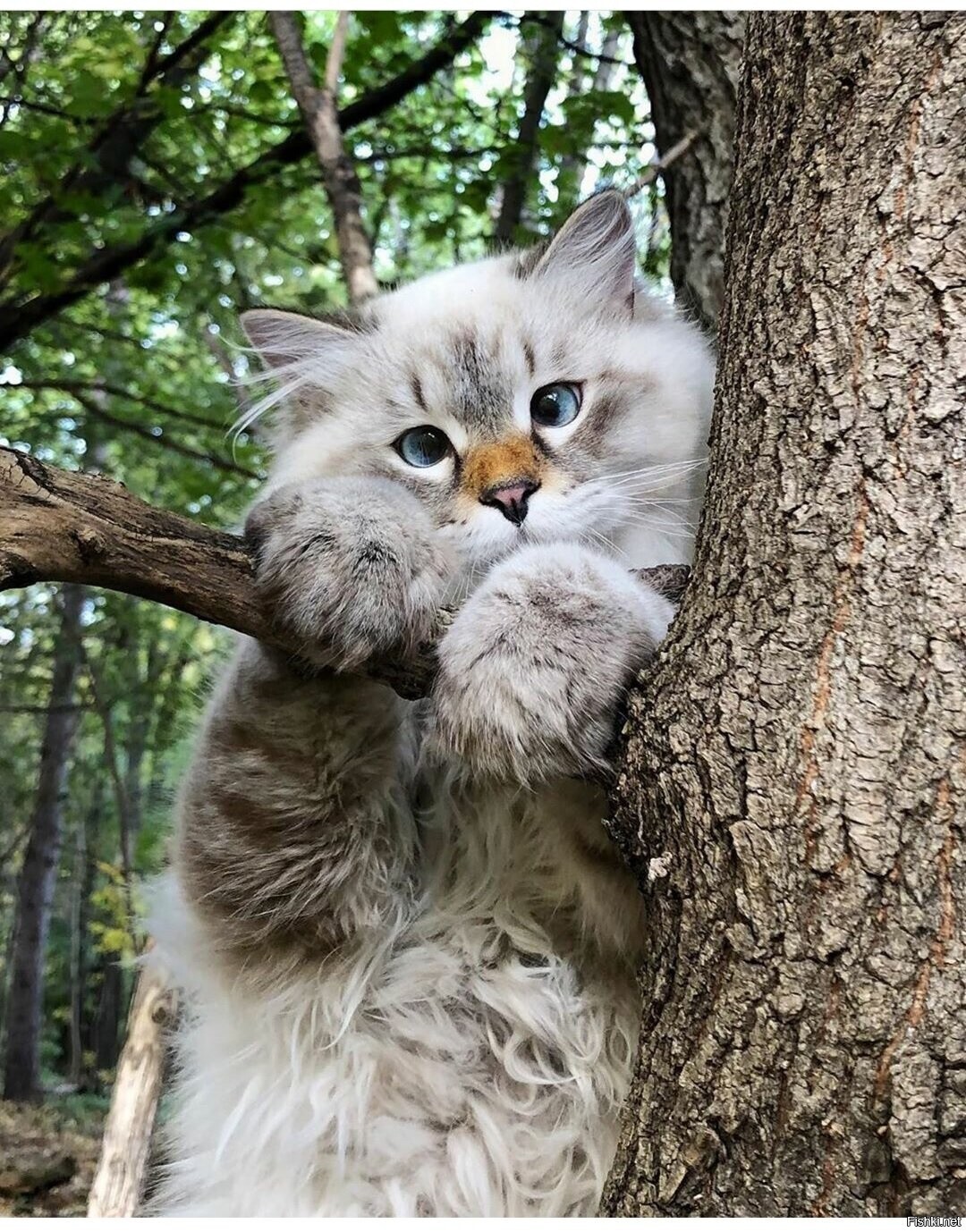 Доброе утро