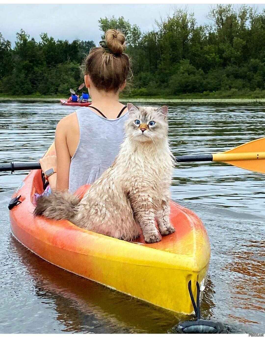 Солянка