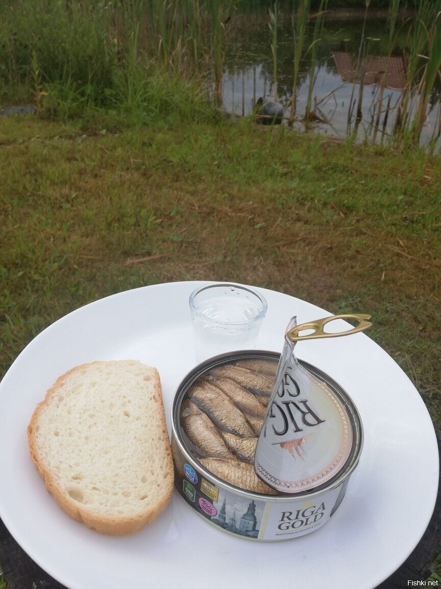 Сильно не бейте