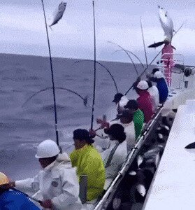 Сейчас бы на рыбалку