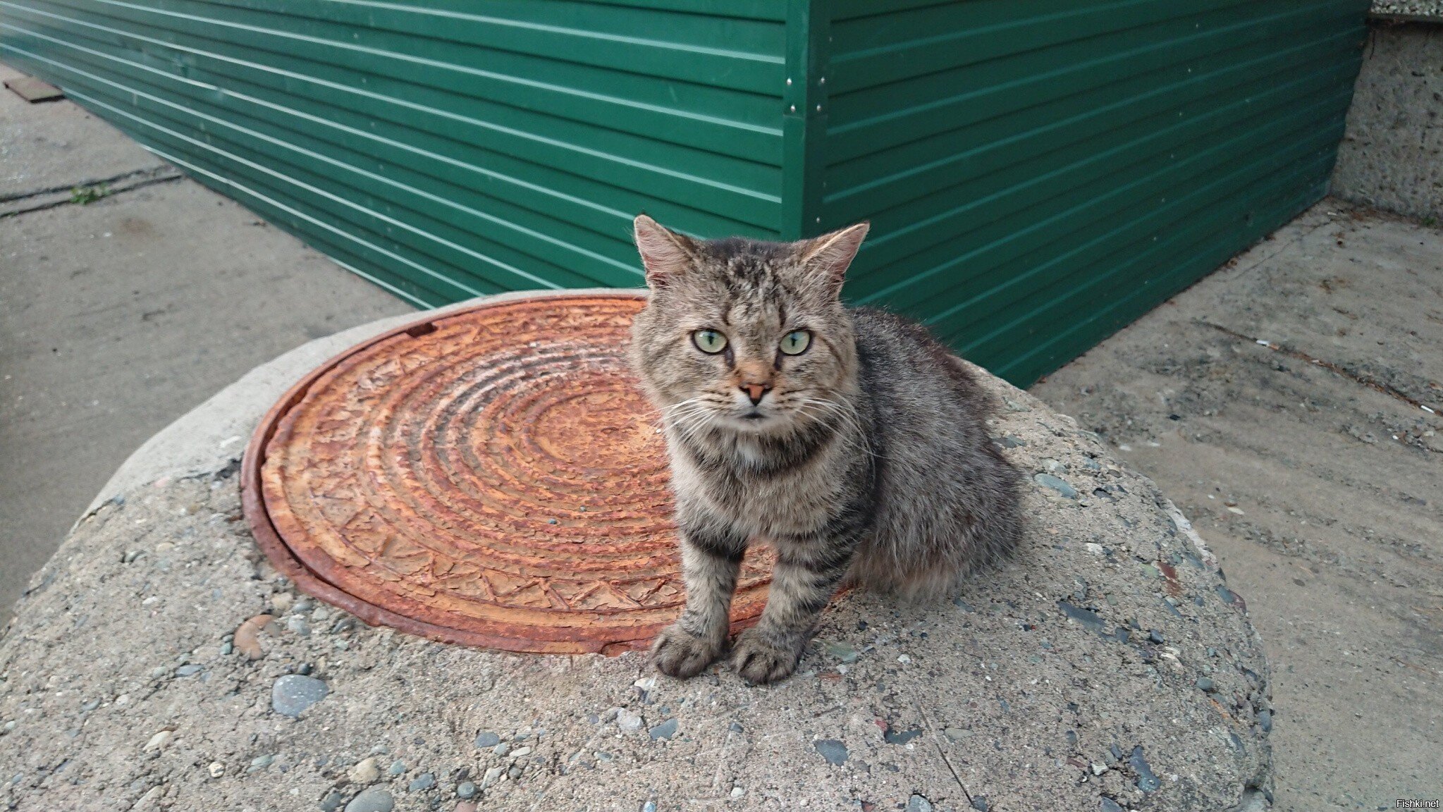 Солянка