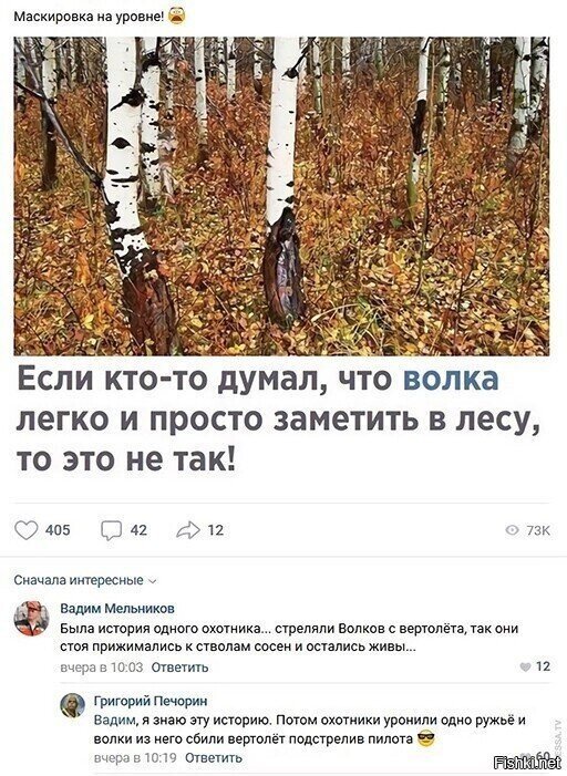 Солянка