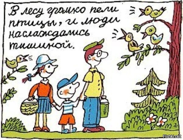 Солянка