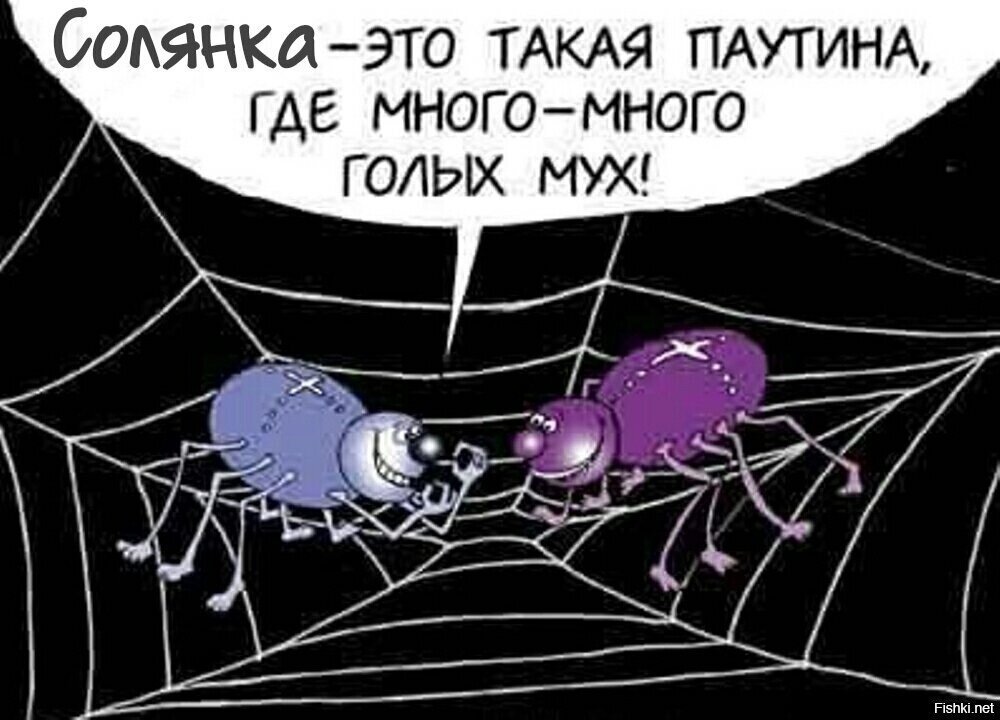 Солянка