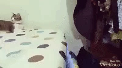 - Как пришел, так и ушел