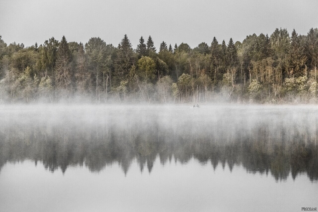 Утренняя рыбалка