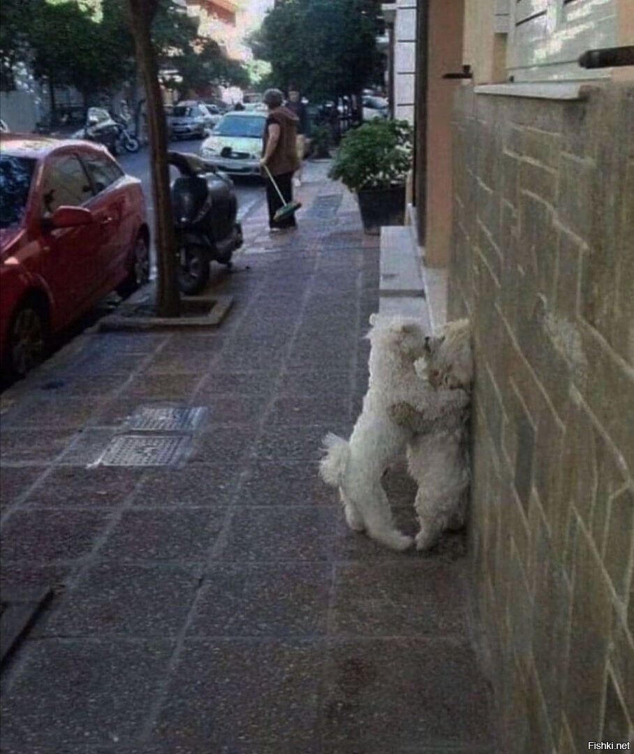 Любофф