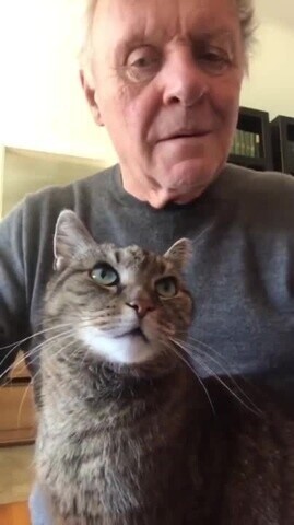 Немного лирики