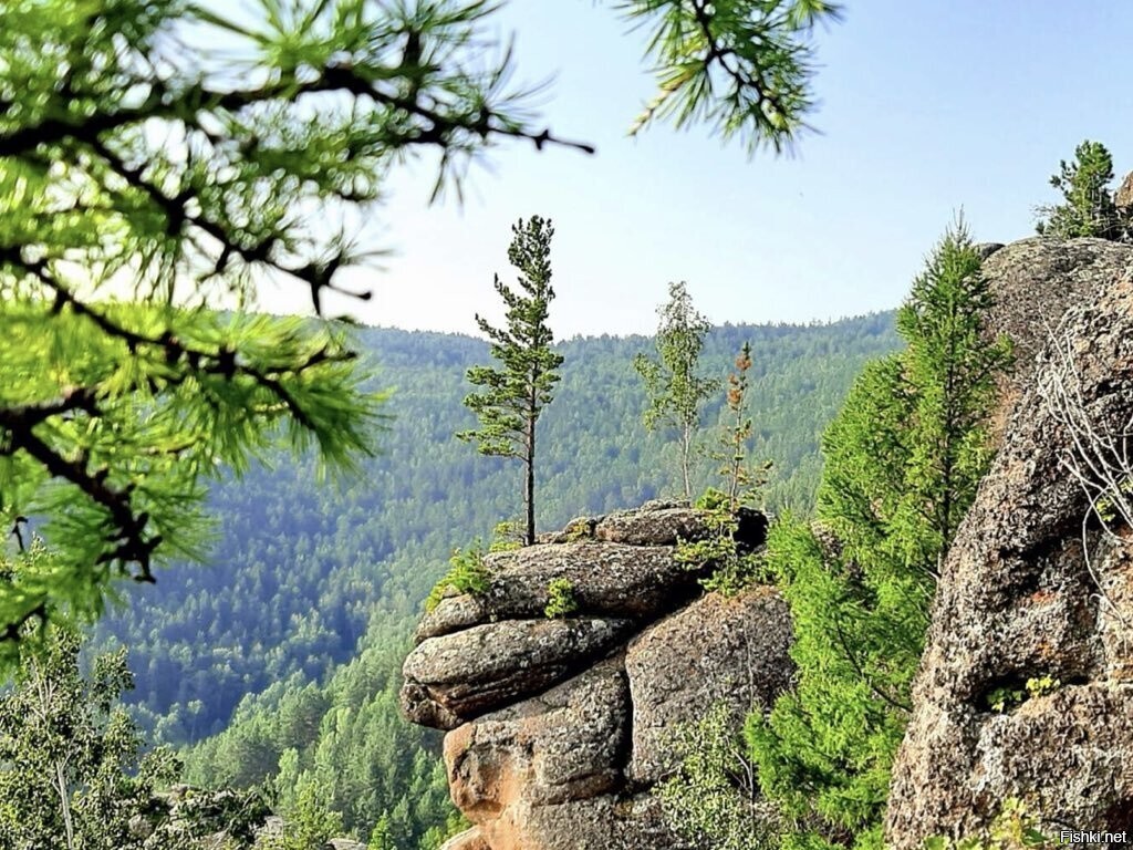 Солянка