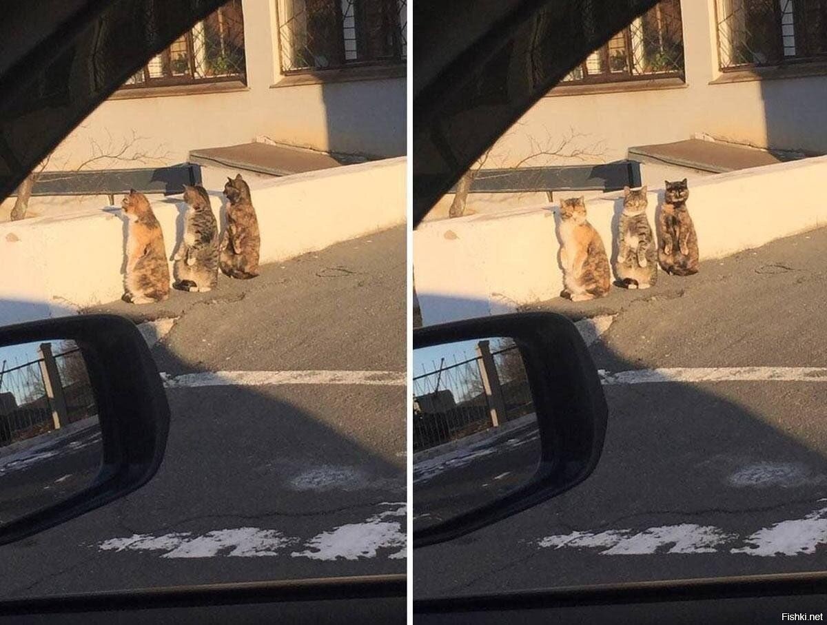 - Чё