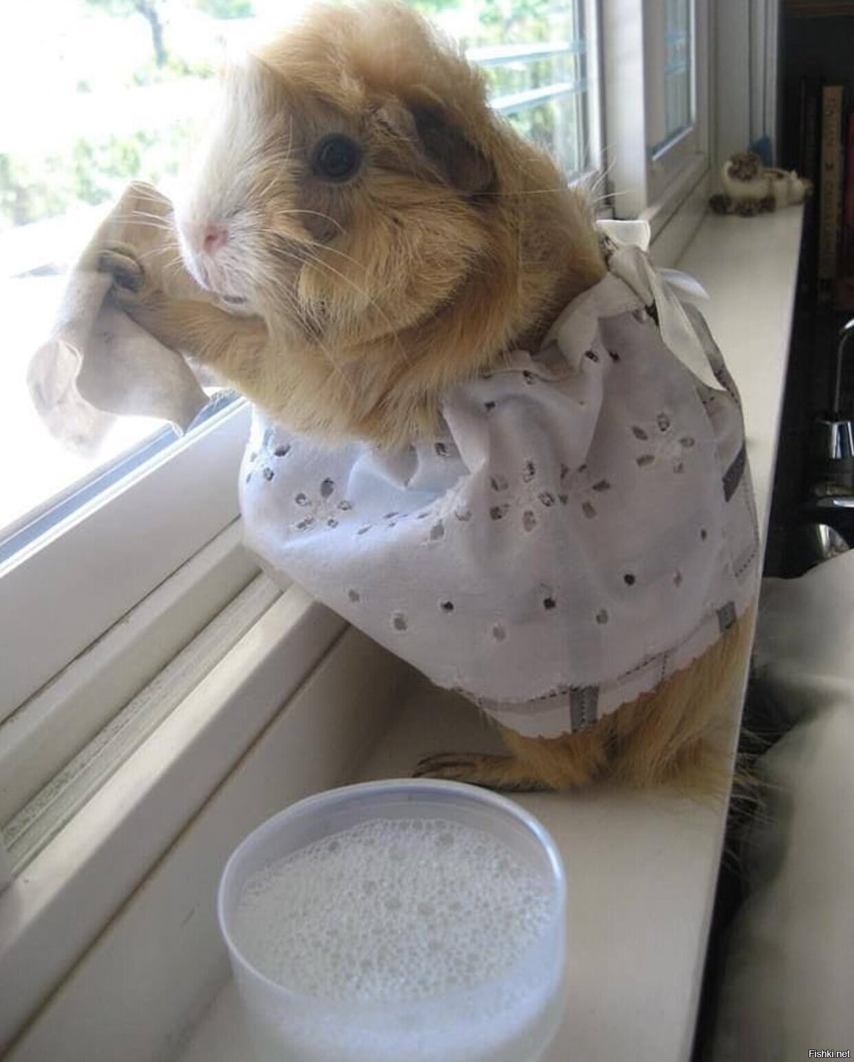Солянка