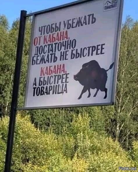 Кто там по грибы ходит
