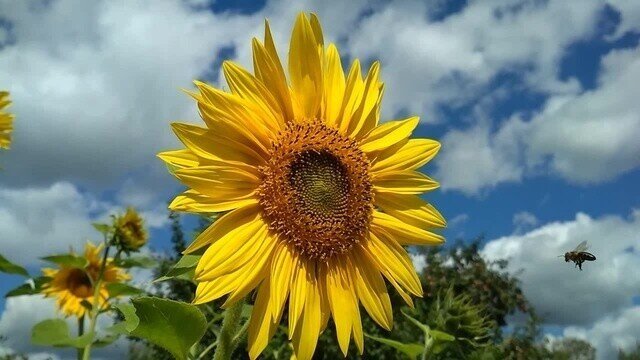 Ярких красок маловато сегодня в солянке