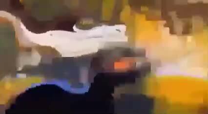 Без всякого умысла