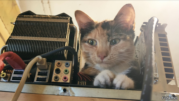 Новый сопроцессор