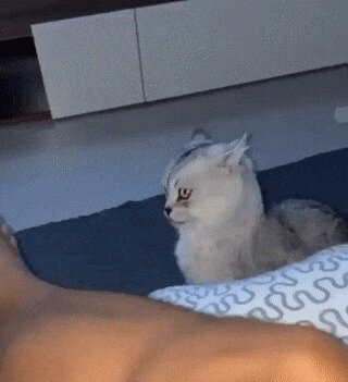 Кусь