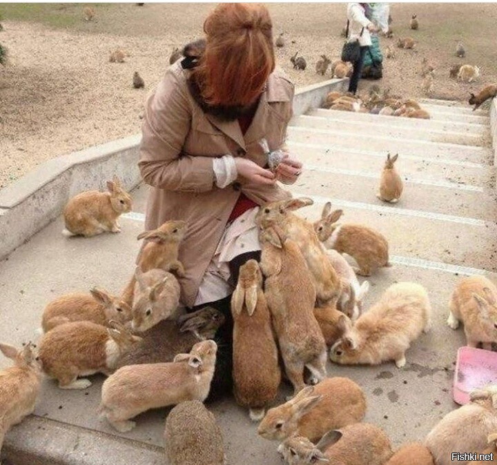 Солянка