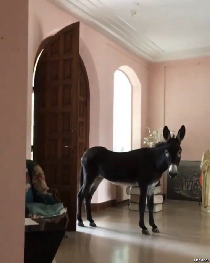 Есть кто дома