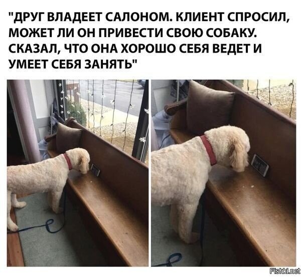 Сутулая опять в солянке