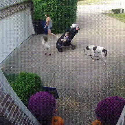 Когда шило в заднице