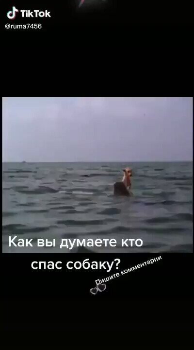 Нам, "царям природы" даже до муравьёв далеко