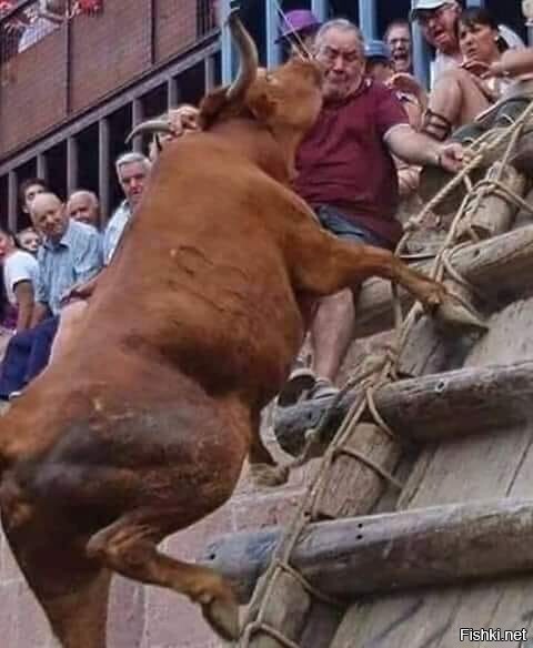 Дай, поцелую