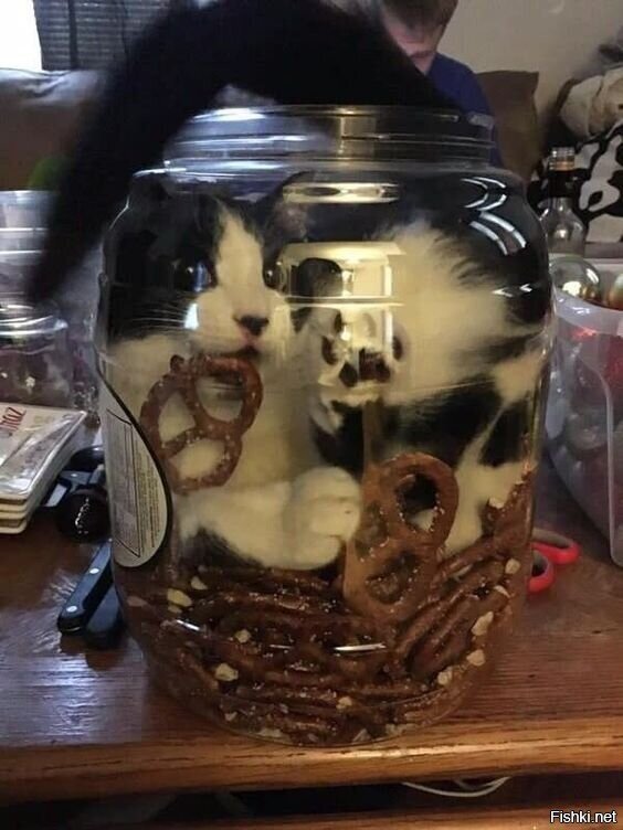 Солянка