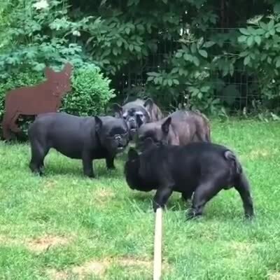 Обычный вечер в Солянке