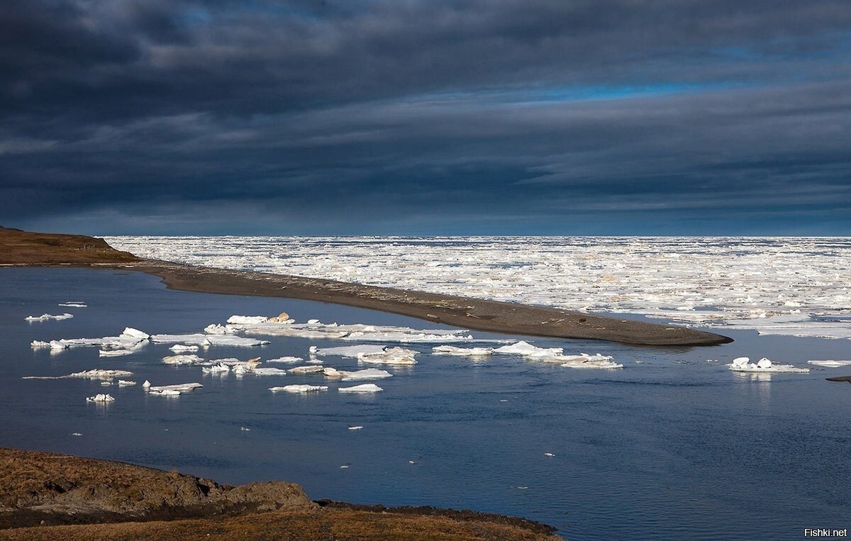 Летом в Карском море