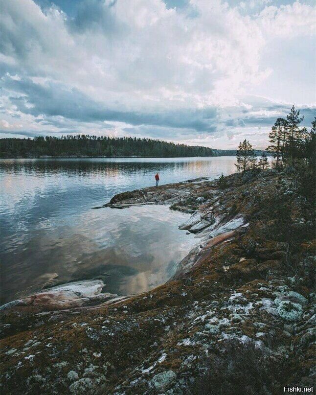 Солянка