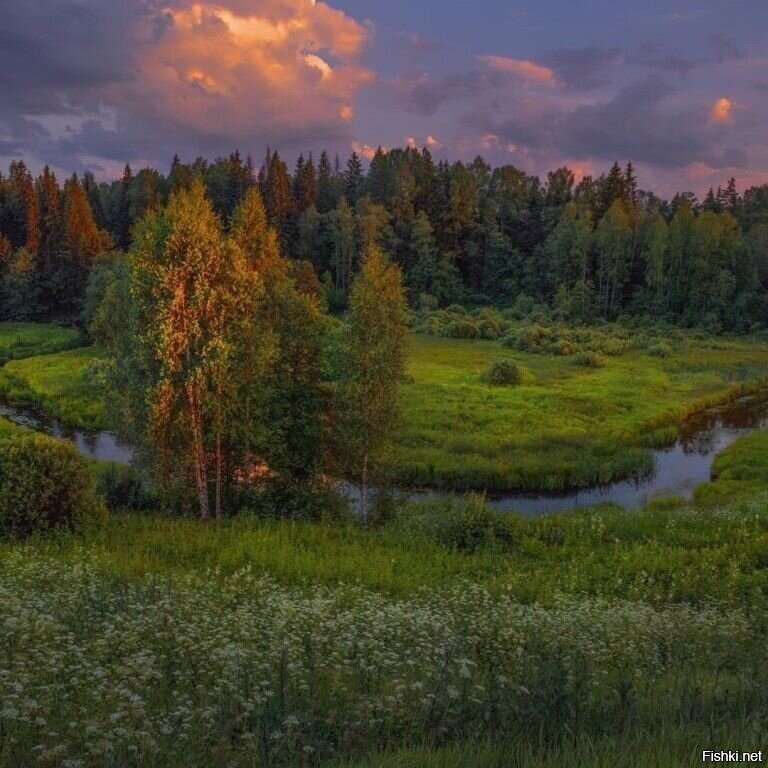 Солянка