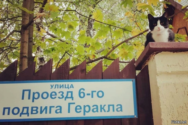 Москва, Рублевка