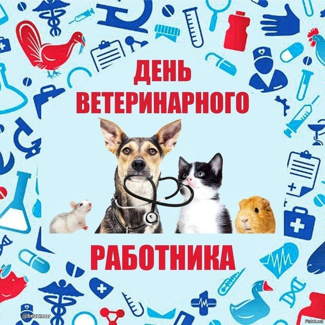 Поздравляю