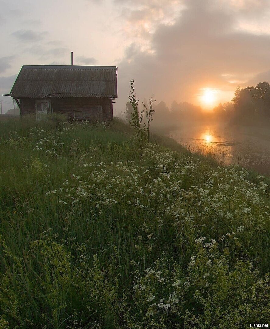 Солянка