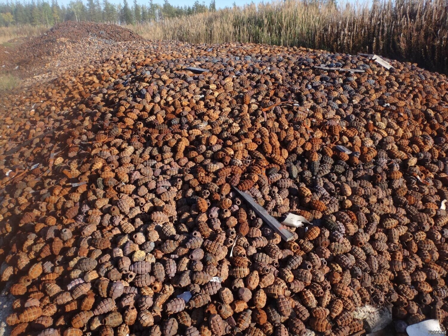 Солянка
