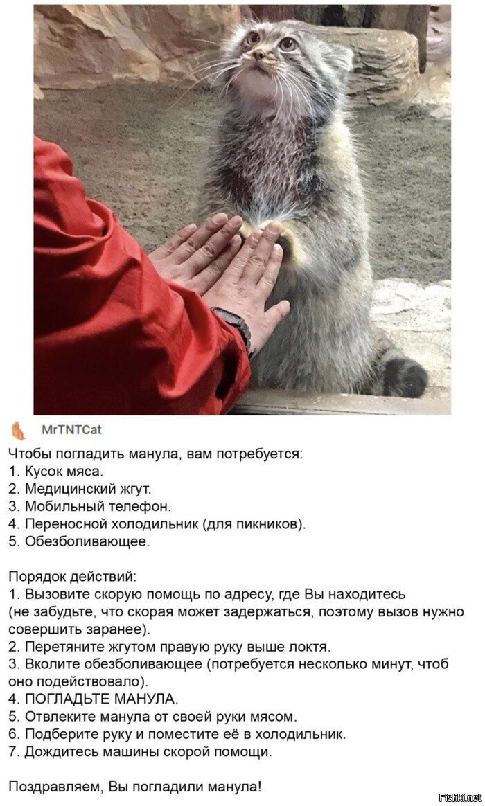 Инструкция