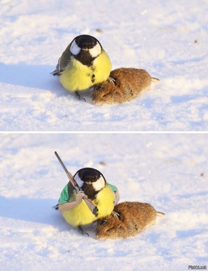 Солянка