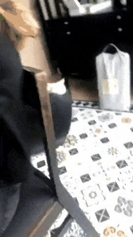 пардон