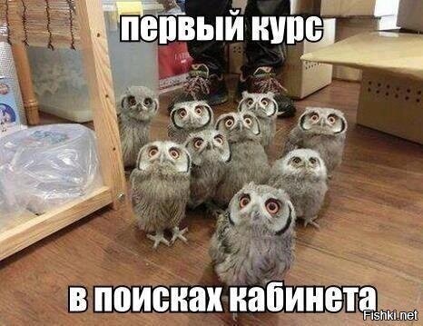 Абитура