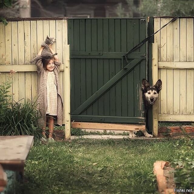 Солянка