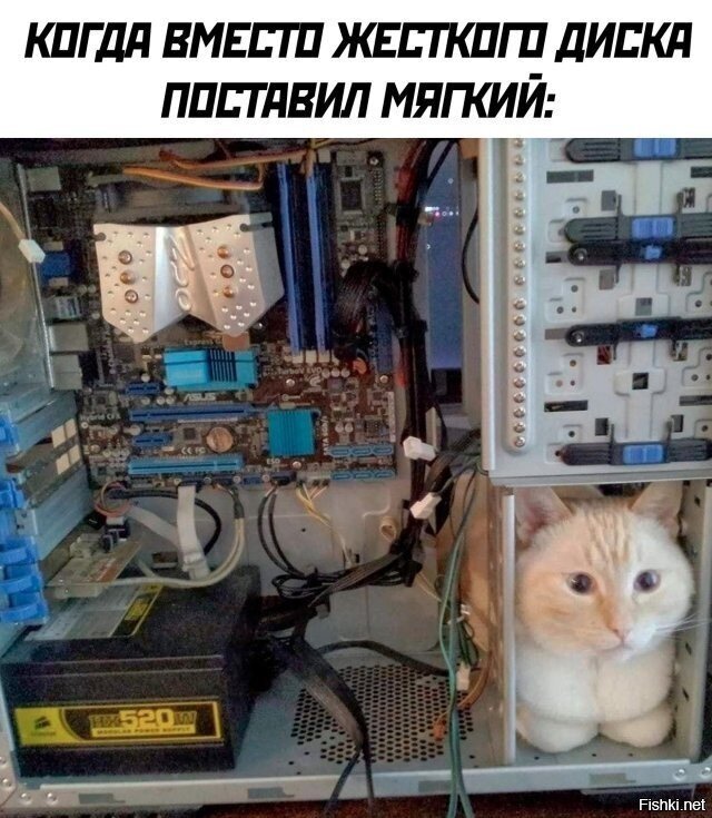 Солянка