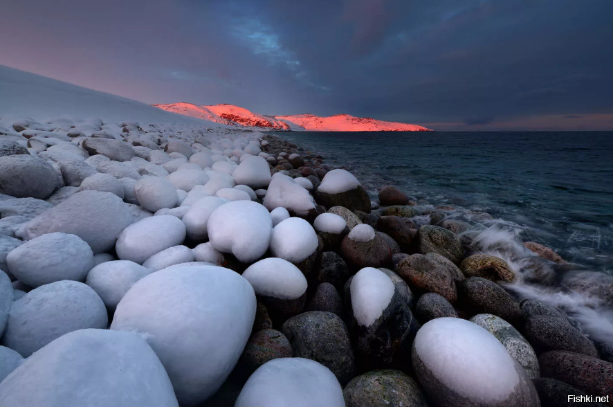 южный берег Баренцева моря