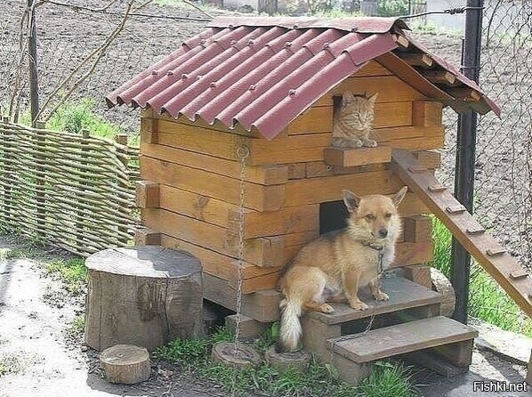 Теремок