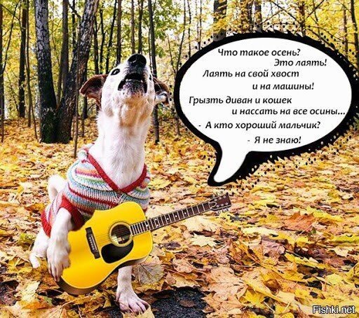 Осени посвящается