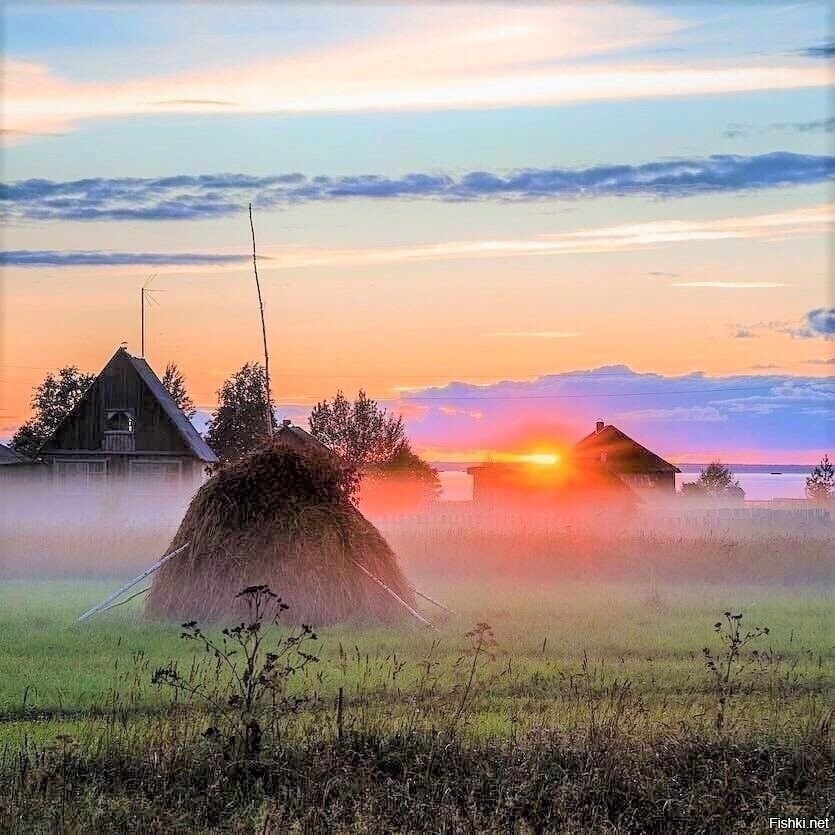 Солянка