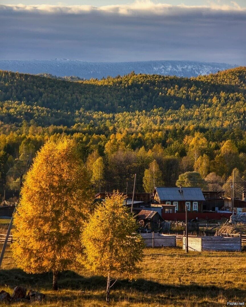 Солянка