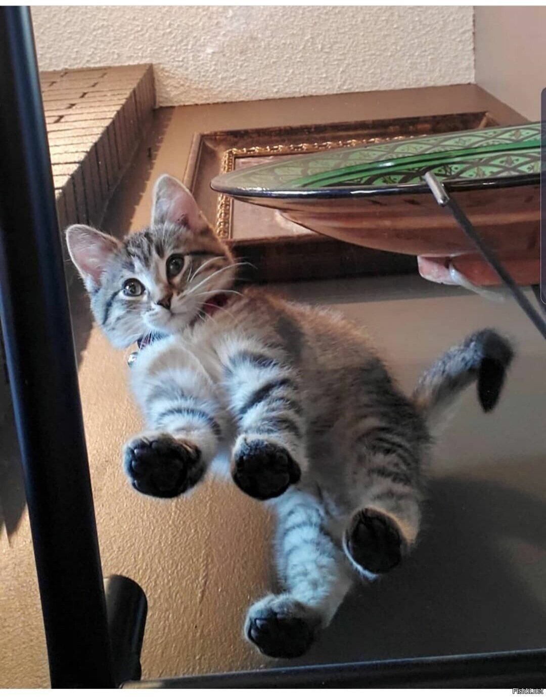 Солянка