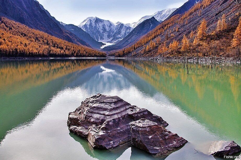 Солянка
