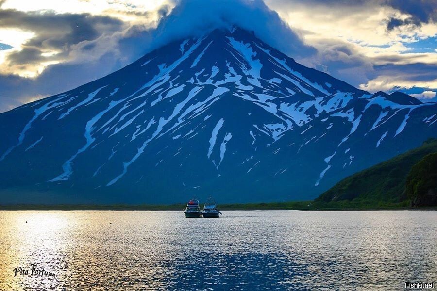 Солянка