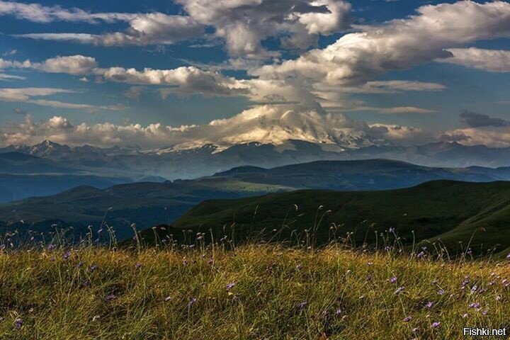 Солянка